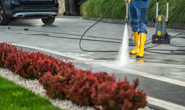 Best Commercial Building Pressure Washing  in Little Walnut Village, NM