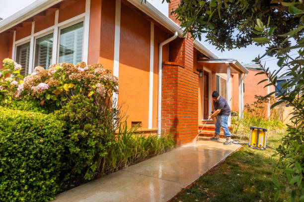 Best Residential Pressure Washing Services  in Little Walnut Village, NM