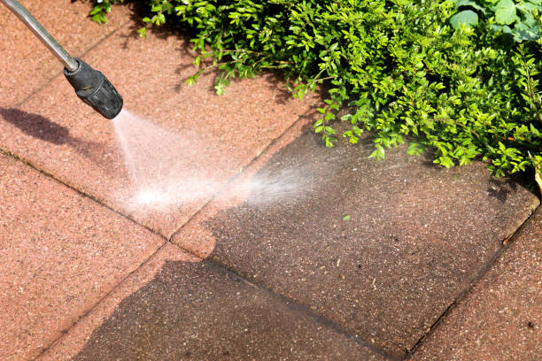 Best Commercial Building Pressure Washing  in Little Walnut Village, NM